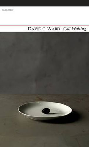 Cover image for Call Waiting