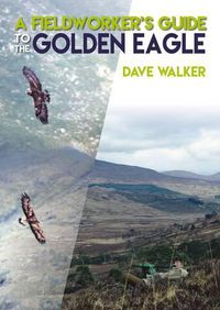 Cover image for A Fieldworker's Guide to the Golden Eagle