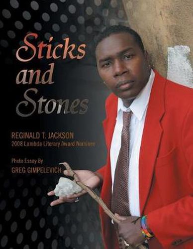 Cover image for Sticks and Stones