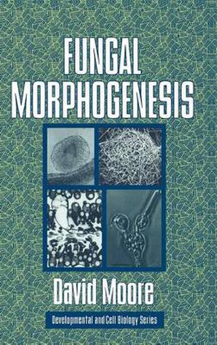 Fungal Morphogenesis