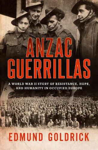 Cover image for Anzac Guerrillas