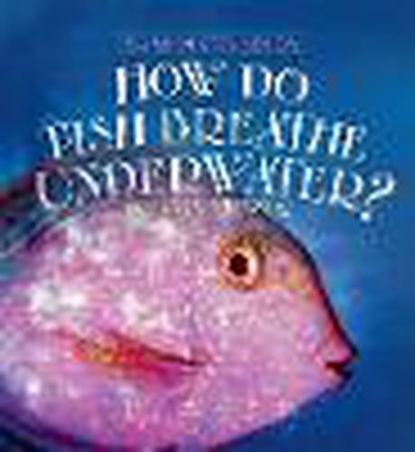 How Do Fish Breathe Underwater?