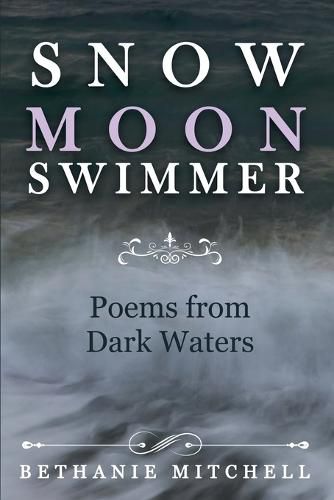 Cover image for Snow Moon Swimmer: Poems from Dark Waters