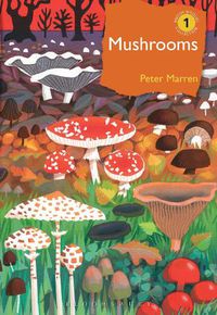 Cover image for Mushrooms: The natural and human world of British fungi