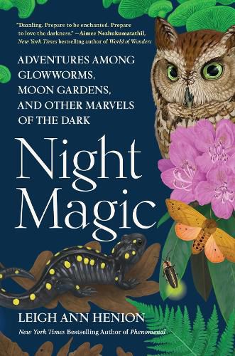 Cover image for Night Magic