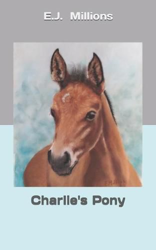 Cover image for Charlie's Pony