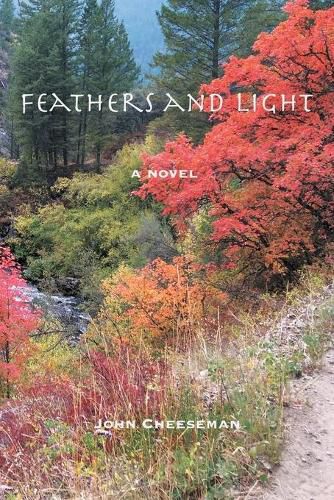 Cover image for Feathers and Light