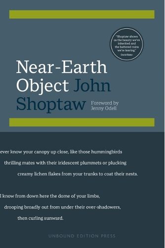 Near-Earth Object