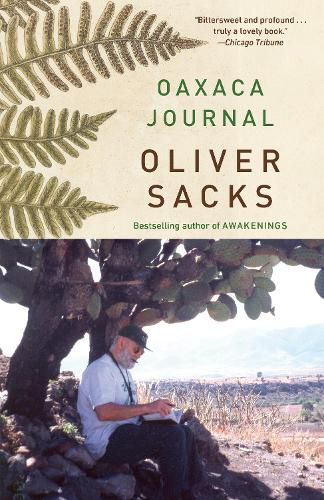 Cover image for Oaxaca Journal