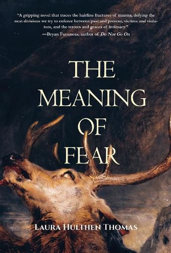 Cover image for The Meaning of Fear
