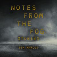 Cover image for Notes from the Fog: Stories