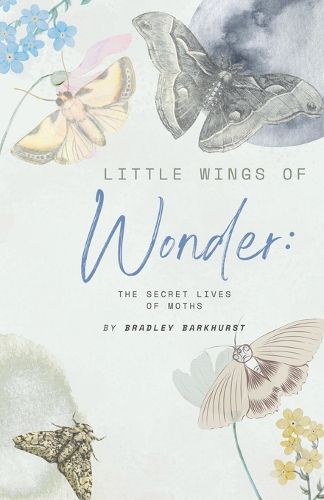 Cover image for Little Wings of Wonder