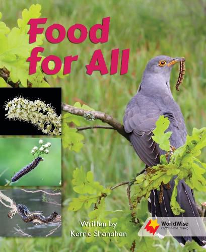 Cover image for Food for All