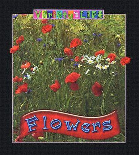 Cover image for Flowers