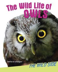 Cover image for The Wild Life of Owls