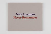 Cover image for Nate Lowman