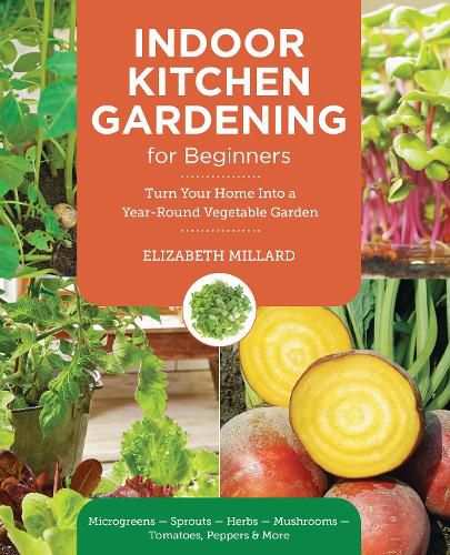 Indoor Kitchen Gardening for Beginners