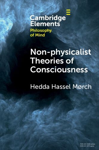 Cover image for Non-physicalist Theories of Consciousness