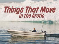 Cover image for Things That Move in the Arctic: English Edition