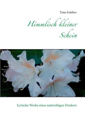 Cover image for Himmlisch kleiner Schein: Lyrische Werke eines umtriebigen Denkers