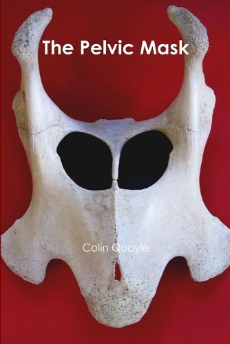 Cover image for The Pelvic Mask