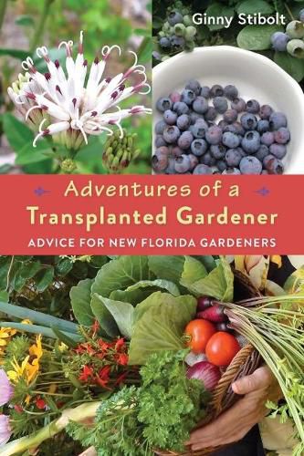 Cover image for Adventures of a Transplanted Gardener: Advice for New Florida Gardeners