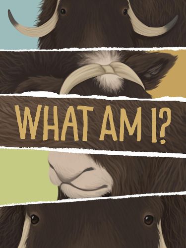 Cover image for What Am I?: English Edition