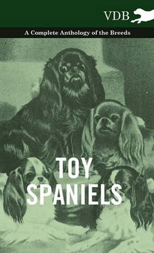 Cover image for Toy Spaniels - A Complete Anthology of the Breeds