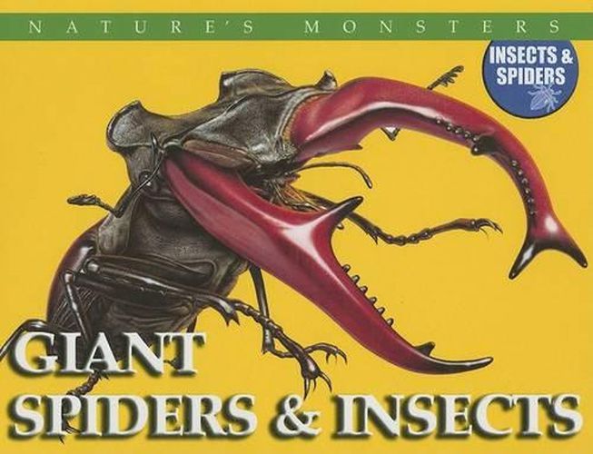 Cover image for Giant Spiders & Insects