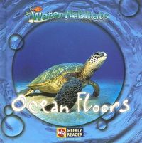 Cover image for Ocean Floors