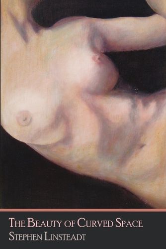 Cover image for The Beauty of Curved Space