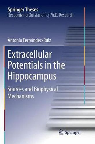 Extracellular Potentials in the Hippocampus: Sources and Biophysical Mechanisms