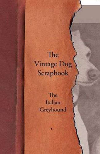 Cover image for The Vintage Dog Scrapbook - The Italian Greyhound