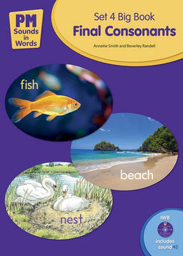 PM Sounds in Words Set 4 Big Book + IWB Software - Final Consonants