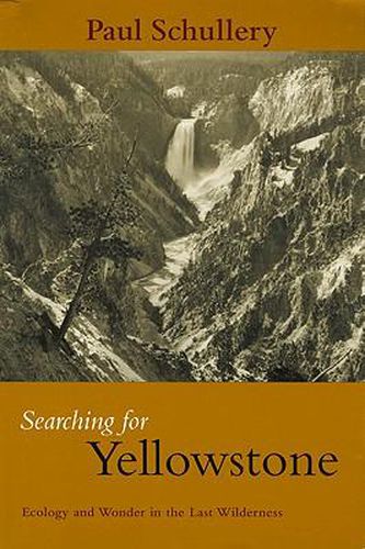 Cover image for Searching for Yellowstone: Ecology and Wonder in the Last Wilderness