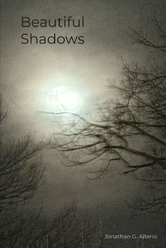 Cover image for Beautiful Shadows