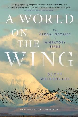 Cover image for A World on the Wing: The Global Odyssey of Migratory Birds
