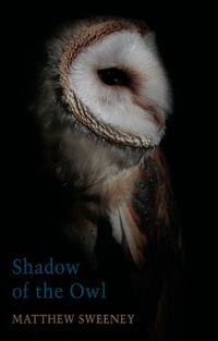 Cover image for Shadow of the Owl