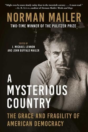 A Mysterious Country: The Grace and Fragility of American Democracy