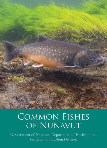 Cover image for Common Fishes of Nunavut