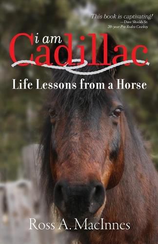 Cover image for I am Cadillac: Life Lessons from a Horse