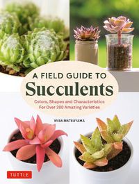 Cover image for A Field Guide to Succulents