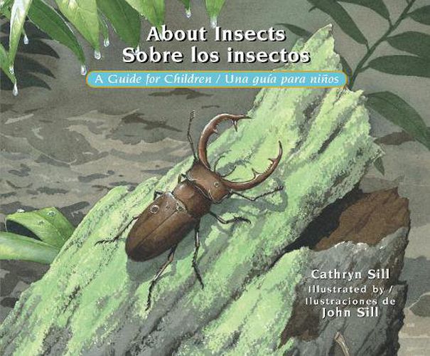 Cover image for About Insects / Sobre los insectos: A Guide for Children / Una guia para ninos