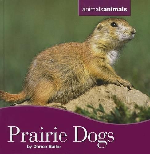 Prairie Dogs