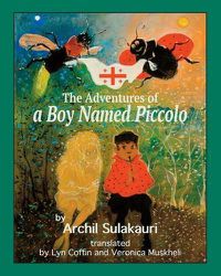 Cover image for The Adventures of a Boy Named Piccolo