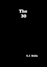 Cover image for The 30