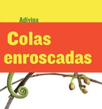 Cover image for Colas Enroscadas (Twisty Tails): Camaleon (Chameleon)