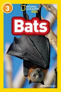 Cover image for Bats: Level 3