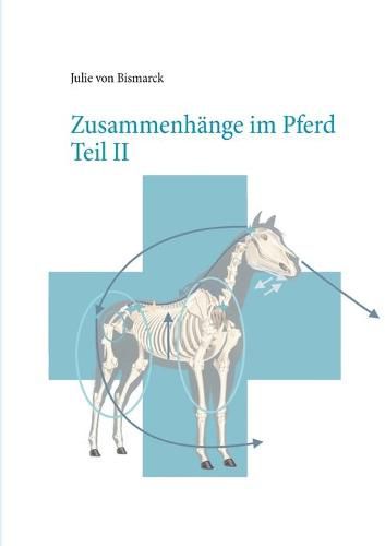 Zusammenhange im Pferd Teil II