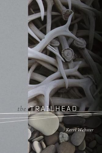 Cover image for The Trailhead